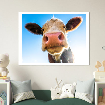 fb6a932d-1501-4ba9-be34-4b1f70df2351