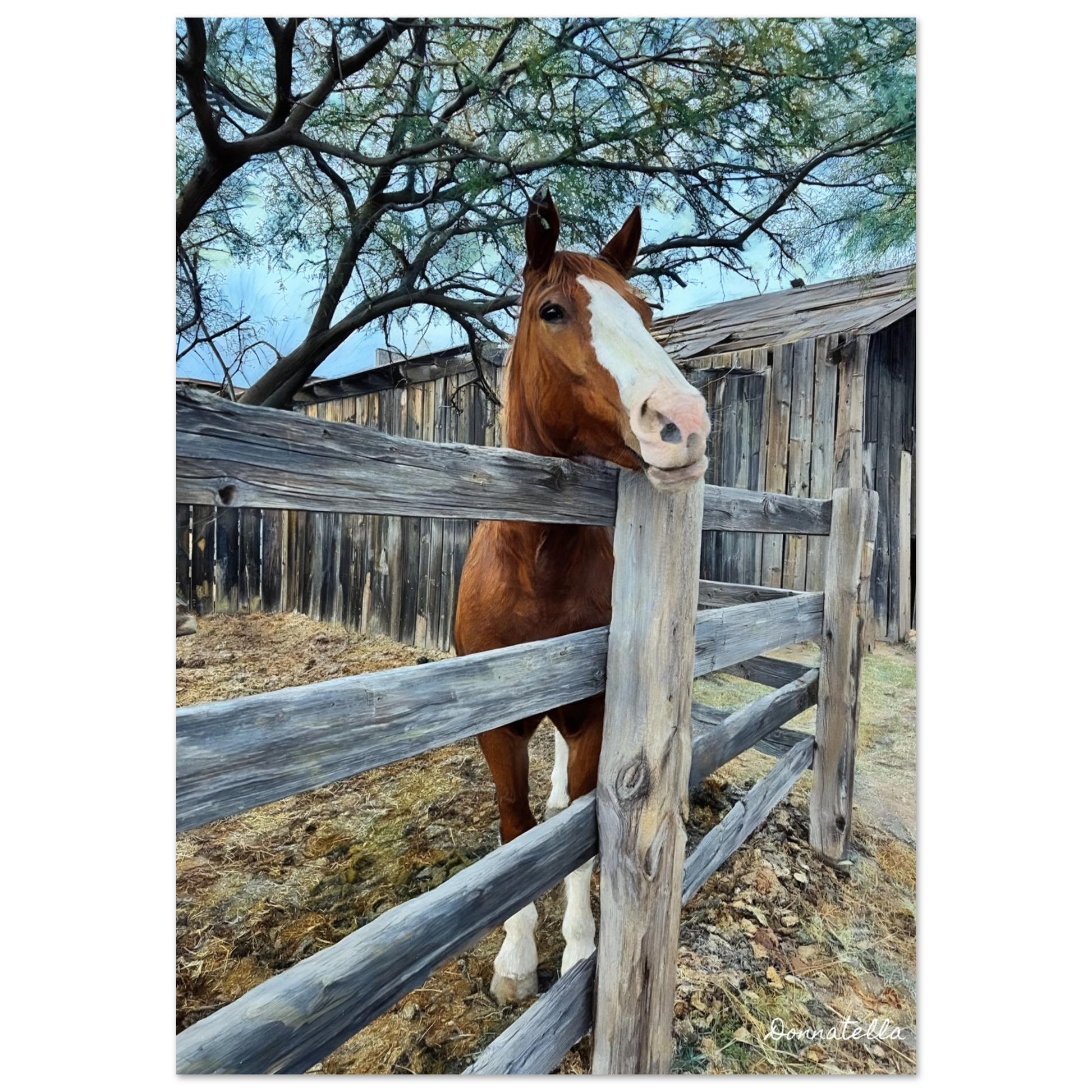 fbc352d3-baf6-4651-9395-869681670195