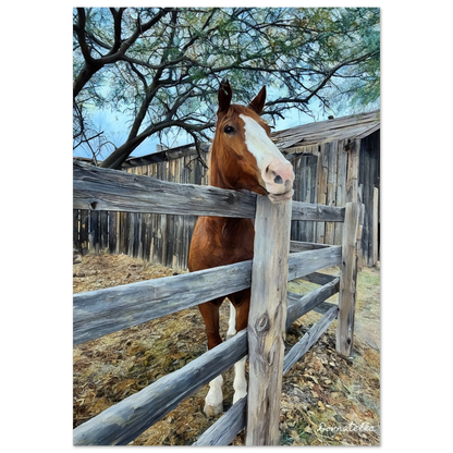 fbc352d3-baf6-4651-9395-869681670195