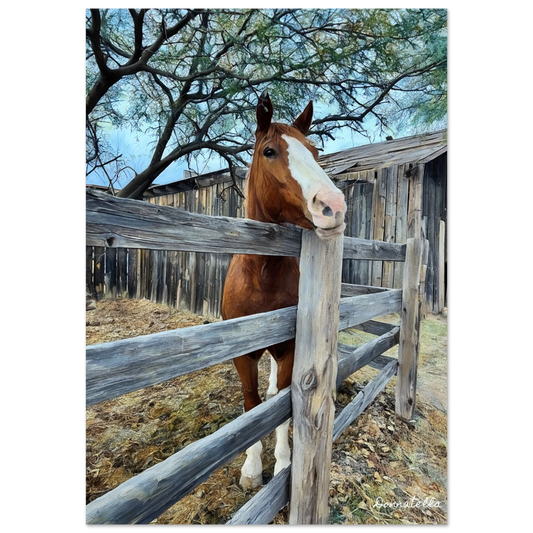 fbc352d3-baf6-4651-9395-869681670195