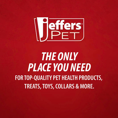 Jeffers Red Dental Bone Natural Rubber Dog Chew Toy for Healthy Teeth and Gums