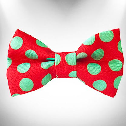 Polka Dot Dog Collars, Leads and Bows on Red - 3 Styles