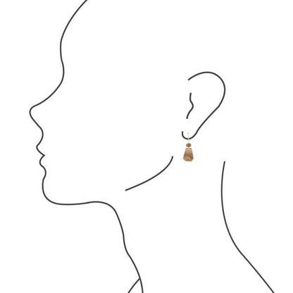 Picture Jasper Slab Earrings